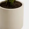 Planta artificial Neottopteris con maceta blanca 70 cm en Blanco - Macetas, Uruguay | Kavehome, vista 3 de 5