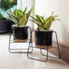 MACETA CERAMICA C/BASE D11x16CM NEGRO/BASE BLANCO en Negro - Macetas, Uruguay | Koz, vista 2 de 4