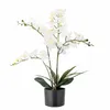 Maceta Orquídea blanca - Decoración, Uruguay | Martinika Deco, vista 2 de 6