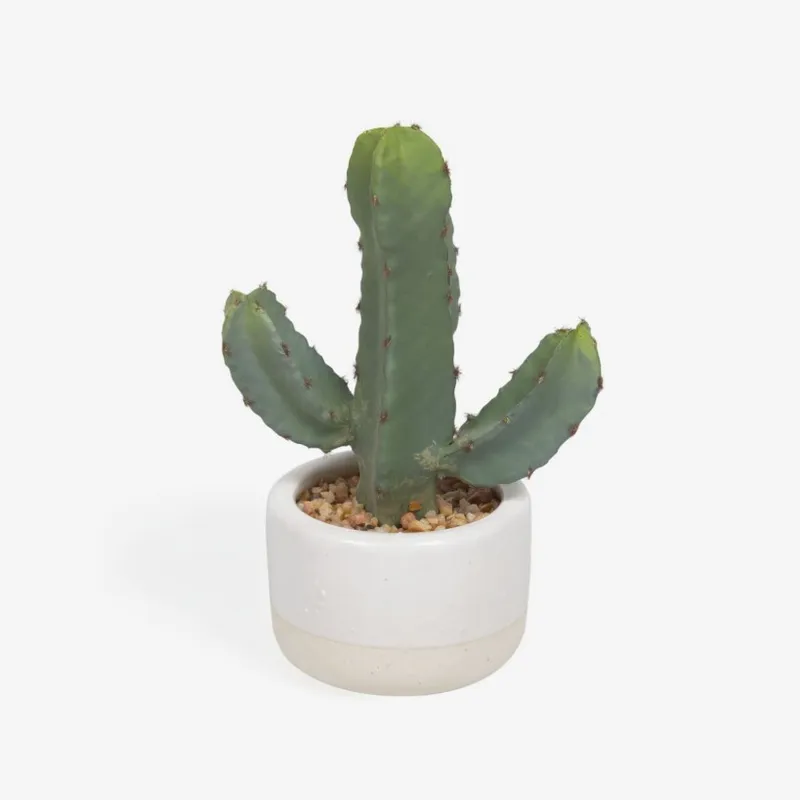 Planta artificial Cactus con maceta blanco 22 cm en Blanco - Muebles para el exterior, Uruguay | Kavehome