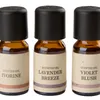Aceite aromático LEON 10ml 3 unidades en Marrón - Velas y Portavelas, Uruguay | JYSK, vista 2 de 3