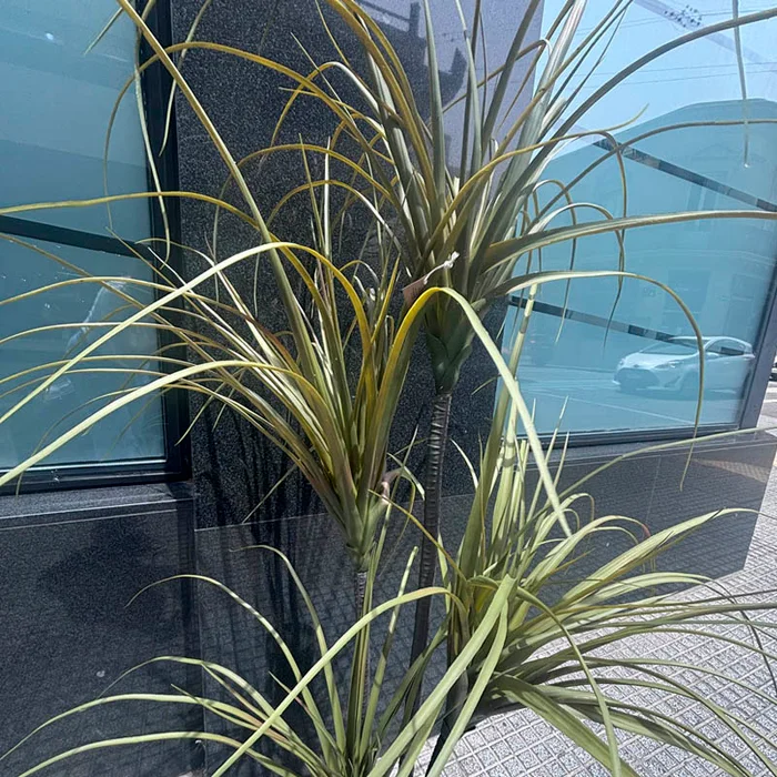 Planta Dracaena artificial 150cm en Negro - Macetas, Uruguay | Alta Gracia Deco, vista 3