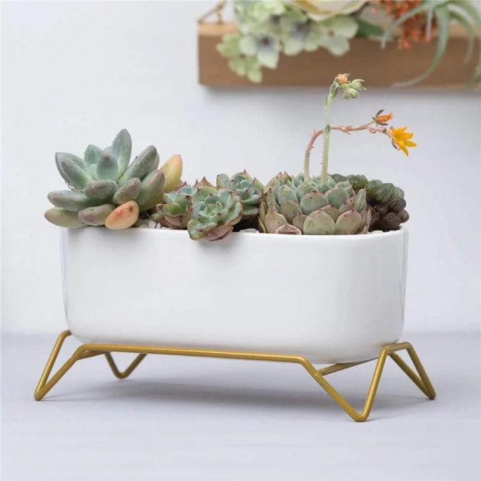 MACETA CERAMICA C/BASE 17x9x9CM BLANCO/DORADO en Blanco - Macetas, Uruguay | Decohogar, vista 3