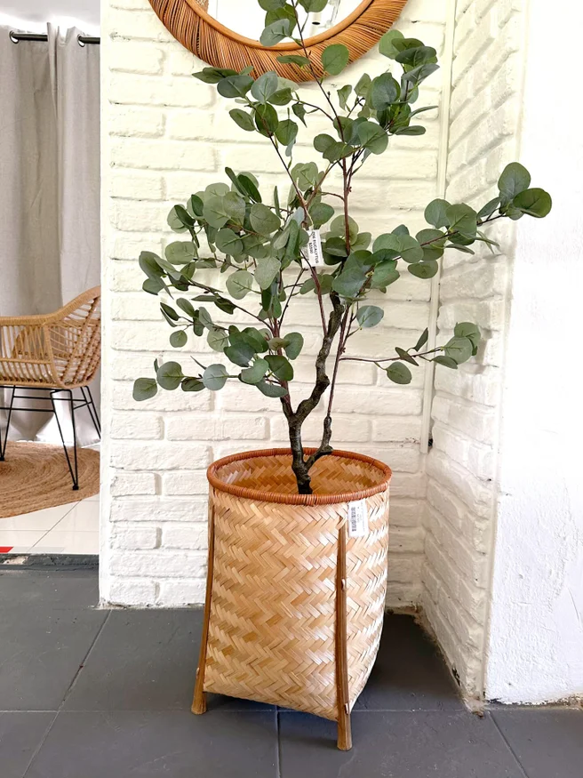 Eucalyptus en Negro - Decoración, Uruguay | Indrana, vista 2
