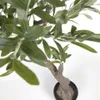 Planta artificial Olivo con maceta negro 140 cm en Negro, Uruguay | Kavehome, vista 6 de 9