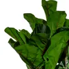 Planta Higuera 130cm - Color Unico en Multicolor - Muebles para el exterior, Uruguay | Indian, vista 2 de 4