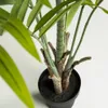 Planta artificial Palmera de bambú con maceta negro 170 cm en Verde - Macetas, Uruguay | Kavehome, vista 4 de 5