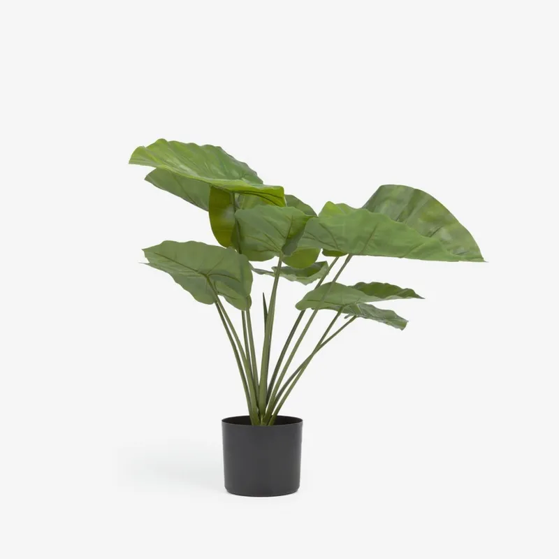 Planta artificial Alocasia Odora con maceta negro 57 cm en Negro - Macetas, Uruguay | Kavehome