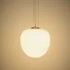 Lámpara de techo Ardali de cristal ahumado y acero con acabado cepillado - Ø25 cm en Blanco - Lámparas colgantes, Uruguay | Kavehome, vista 6 de 6