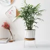 MACETA CERAMICA C/BASE D11x16CM BLANCO en Blanco - Macetas, Uruguay | Koz, vista 3 de 4