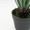 Planta Cintas - Color Unico en Multicolor - Decoración, Uruguay | Indian, vista 2 de 4