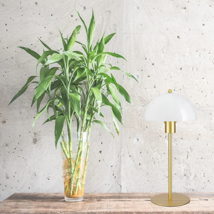 Luminaria De Mesa Mushroom Opal Bronce en Amarillo - Lámparas de mesa, Uruguay | Serlux, vista 5