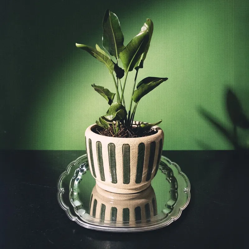 Maceta de cerámica Toscana - verde oscuro en Beige - Macetas, Uruguay | Buho Store
