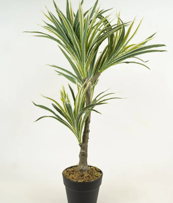 Planta White Grass 70cm - Color Unico en Multicolor - Muebles para el exterior, Uruguay | Indian