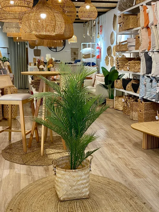 Palmera en Negro - Decoración, Uruguay | Indrana, vista 2