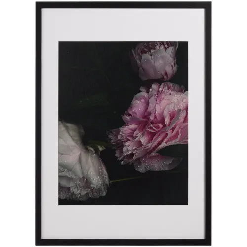 Flora 1 en Rosa - Decoración, Uruguay | BoConcept