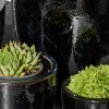 Kate Black - Macetas, Uruguay | Balcony, vista 5 de 5