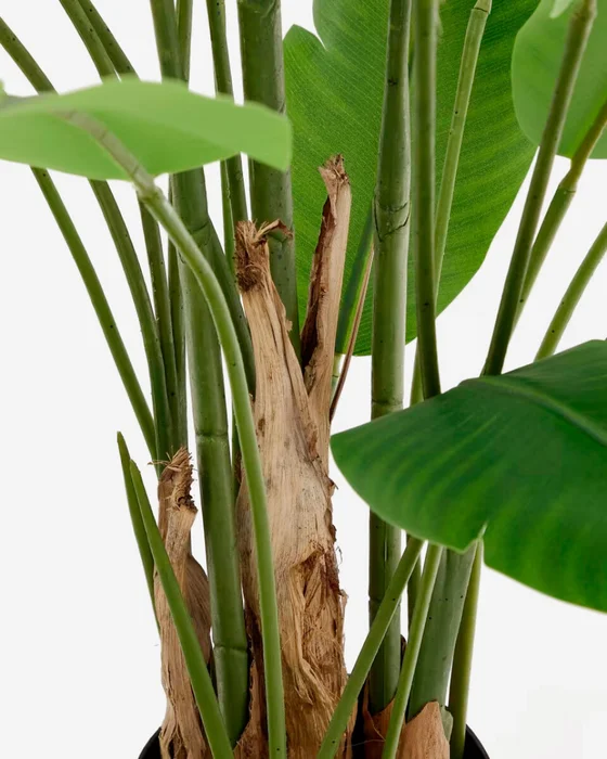 Planta artificial Banano con maceta negra 210 cm en Negro - Macetas, Uruguay | Kavehome, vista 3