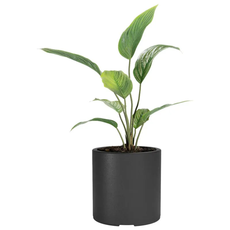 Macetero Cilindro 30 Negro Alto 30cm x 30cm diametro, 20 lts en Negro - Macetas, Uruguay | Champagne Home