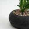 Planta Quovi - Estampado 2 en Multicolor - Decoración, Uruguay | Indian, vista 2 de 2