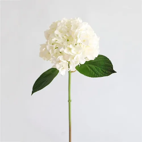 Planta/Flor Artificial Hortensia Blanca en Beige - Macetas, Uruguay | Alta Gracia Deco