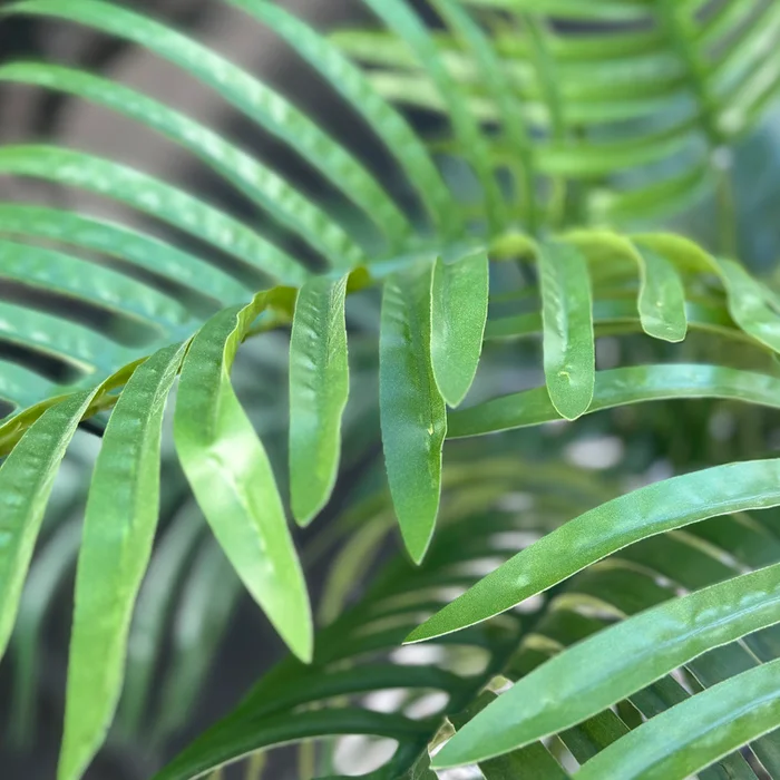 Planta Areca Artificial 160cm en Negro - Macetas, Uruguay | Alta Gracia Deco, vista 5