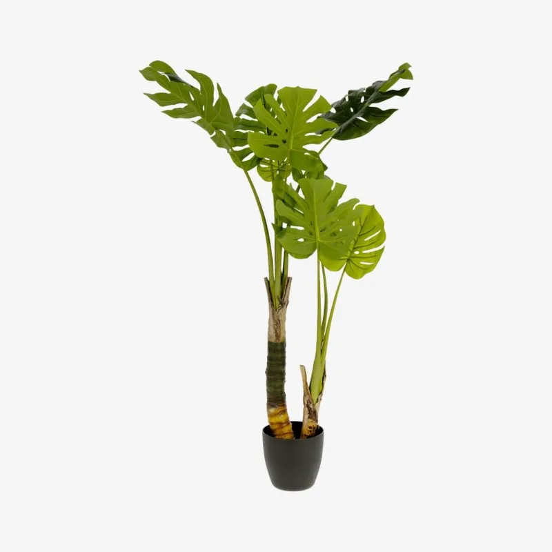 Planta artificial Monstera con maceta de cemento negro 130 cm en Verde - Muebles para el exterior, Uruguay | Kavehome