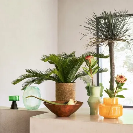 Cuenco Decorativo Escala - Decoración, Uruguay | Aihaus
