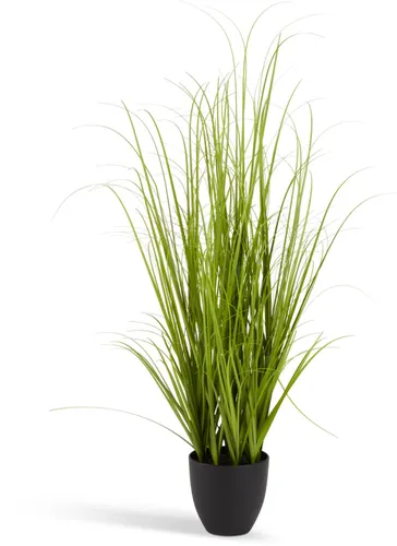 Planta artificial MARKUSFLUE A150cm gram en Verde - Muebles para el exterior, Uruguay | JYSK