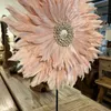 Decoración circulo plumas rosa en Rosa - Decoración, Uruguay | Balihai, vista 1 de 2