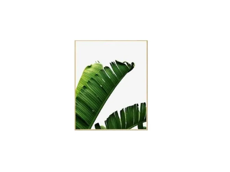 Marco Natural Banana Leaves II en Madera natural - Decoración de pared, Uruguay | Finkel