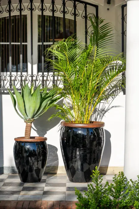 Ernest Black en Negro - Macetas, Uruguay | Balcony, vista 2