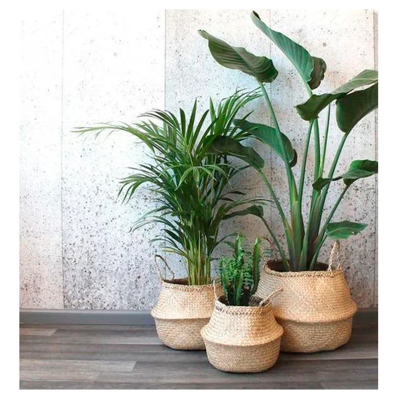Canasto en fibra natural grande en Madera natural - Macetas, Uruguay | Alta Gracia Deco, vista 3