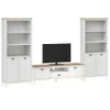 Modular para tv Linea Rivery en Multicolor - Muebles para TV, Uruguay | La Cueva Muebles, vista 1 de 6