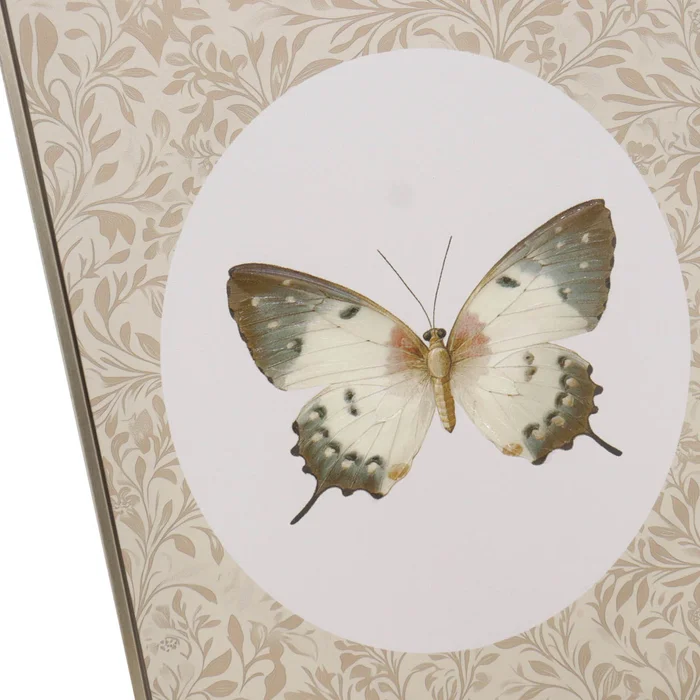 Cuadro Butterfly I, 40 Natural/beige Papel Wp2514737b en Beige - Decoración de pared, Uruguay | Divino, vista 2