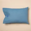 Almohadón Rectangular Panamá - Textiles, Uruguay | Arredo, vista 64 de 83