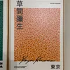 Kit 3 Cuadros - Yayoi Kusama Colores - 30 × 40 - Decoración de pared, Uruguay | Berna home, vista 4 de 5