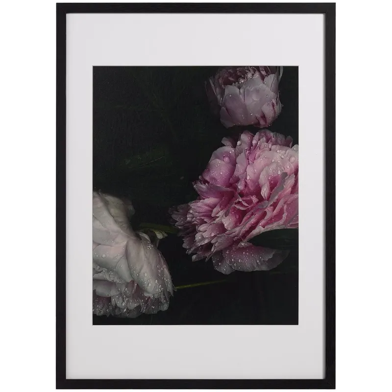 Flora 1 en Rosa - Decoración, Uruguay | BoConcept