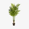 Planta artificial Palmera de bambú con maceta negro 170 cm en Verde - Macetas, Uruguay | Kavehome, vista 1 de 5