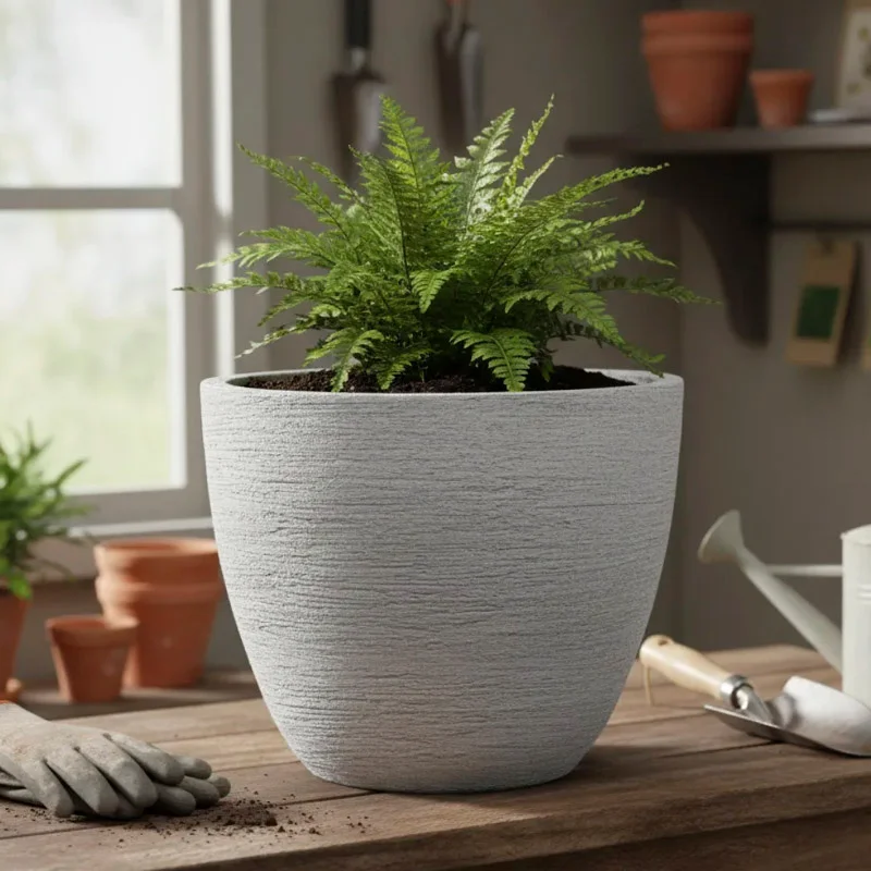 Maceta Saucer mini en por estar expuestas - Macetas, Uruguay | Alta Gracia Deco, vista 6