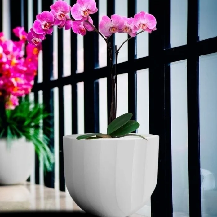 MACETA SPELLO ONDULATO BLANCA 15X15CM en Blanco - Macetas, Uruguay | Decohogar, vista 3