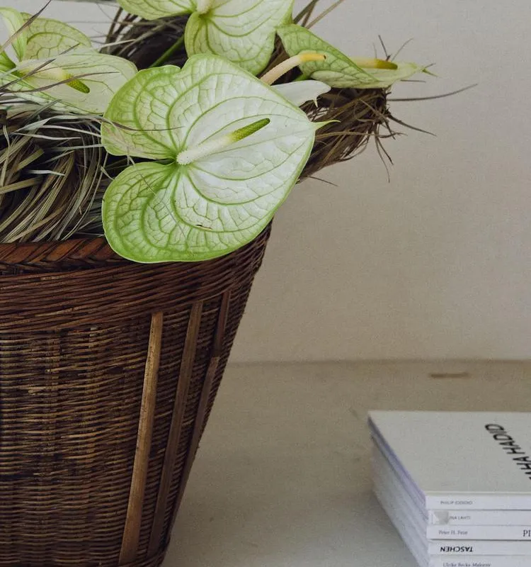 CESTA TRENZADA - Canastos, Uruguay | Zara Home