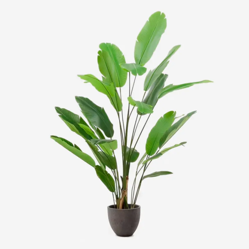 Planta artificial Banano con maceta negra 210 cm en Negro - Macetas, Uruguay | Kavehome
