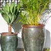 Ernest Moss Green - Macetas, Uruguay | Balcony, vista 3 de 6