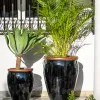 Ernest Black - Macetas, Uruguay | Balcony, vista 4 de 6