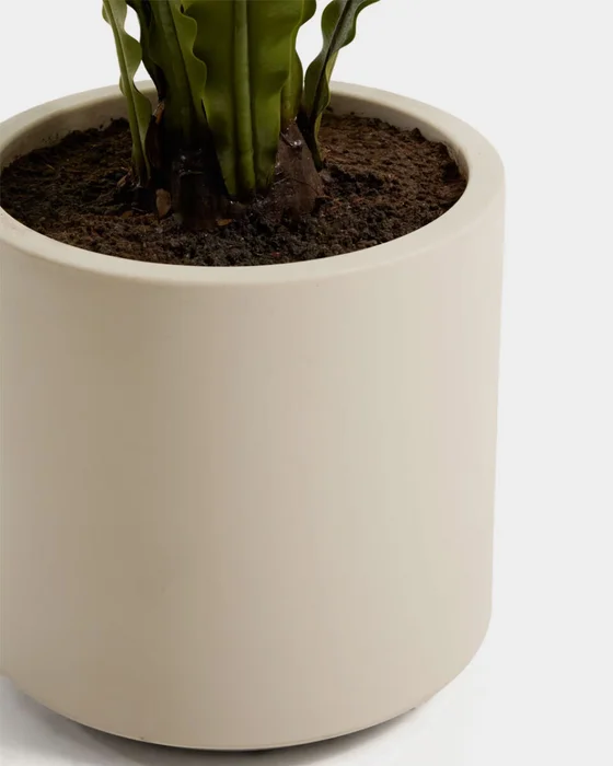 Planta artificial Neottopteris con maceta blanca 70 cm en Blanco - Macetas, Uruguay | Kavehome, vista 3
