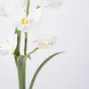 Planta Orquídea - Color Unico en Multicolor - Decoración, Uruguay | Indian, vista 3 de 4