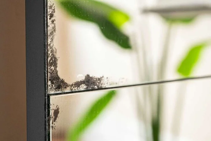 ESPEJO AÑEJADO DE HIERRO NEGRO - 1.70 X 0.80 MTS en Negro - Espejos, Uruguay | La Iberica, vista 6