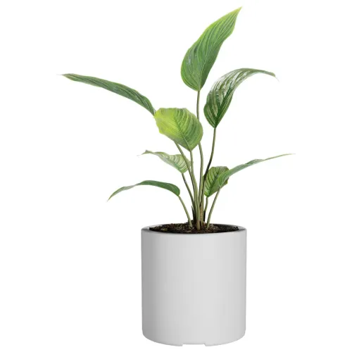 Macetero Cilindro 30 Blanco Alto 30cm x 30cm diametro, 20 lts en Blanco - Macetas, Uruguay | Champagne Home