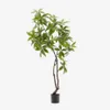 Árbol artificial Pachira con maceta negra 180 cm en Madera natural - Macetas, Uruguay | Kavehome, vista 1 de 4